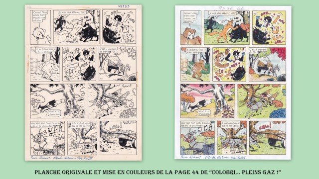 Numéroté Coloriage Adulte: Livre Coloriage avec 60 Dessins de Couleurs par  Numéro d'animaux, de fleurs, de maisons et de motifs Faciles à Difficiles